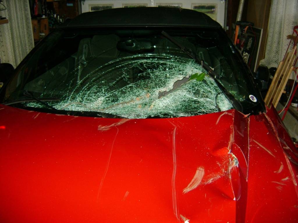 Windshield Damage
