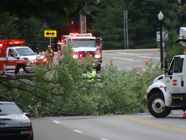 Car-killing Tree
