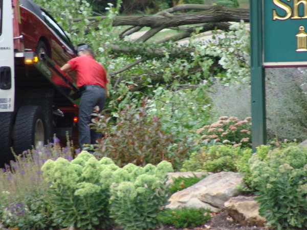 Car Being Towed Away
